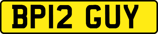 BP12GUY