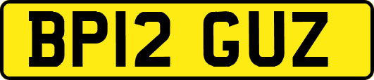 BP12GUZ