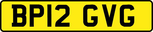 BP12GVG