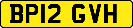 BP12GVH