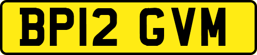 BP12GVM