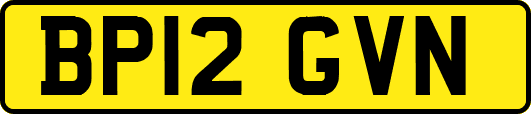 BP12GVN
