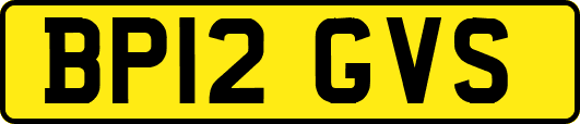 BP12GVS