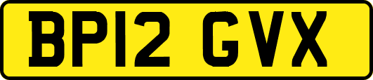 BP12GVX