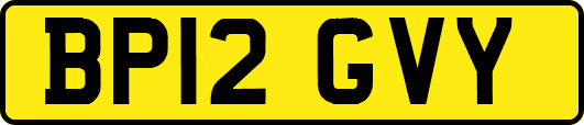 BP12GVY