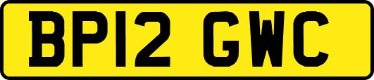BP12GWC