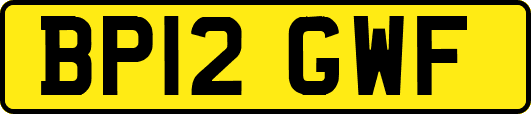 BP12GWF