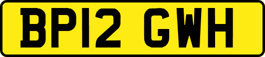 BP12GWH