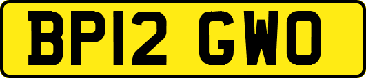 BP12GWO