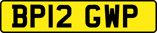BP12GWP
