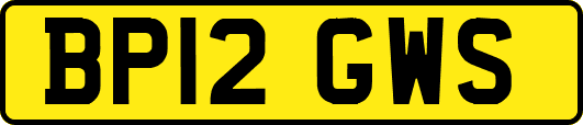 BP12GWS