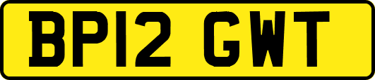 BP12GWT