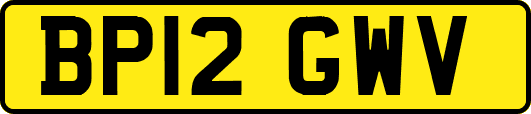BP12GWV