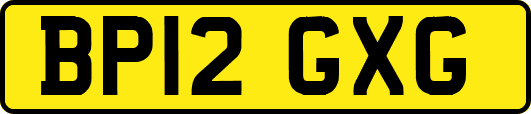 BP12GXG