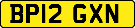 BP12GXN