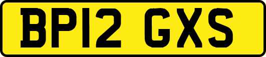 BP12GXS