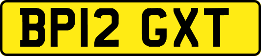 BP12GXT