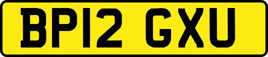 BP12GXU