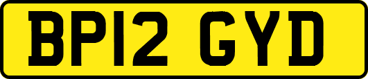 BP12GYD