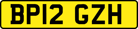 BP12GZH