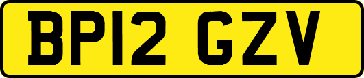 BP12GZV