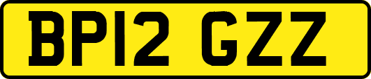 BP12GZZ
