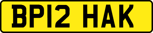 BP12HAK