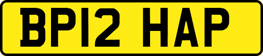 BP12HAP