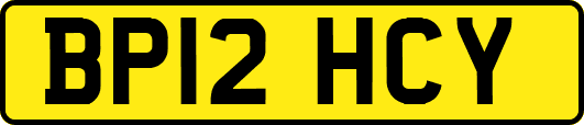 BP12HCY