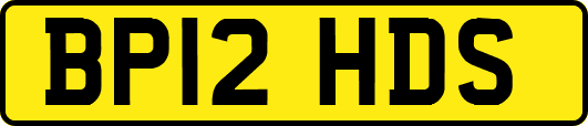 BP12HDS