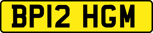 BP12HGM