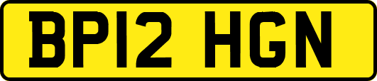 BP12HGN