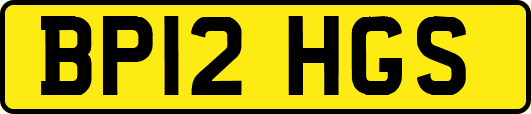 BP12HGS