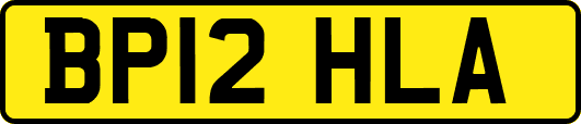 BP12HLA