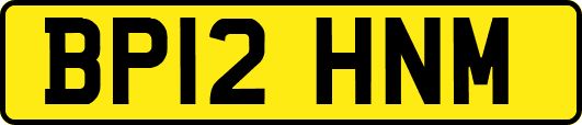 BP12HNM