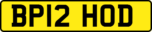 BP12HOD