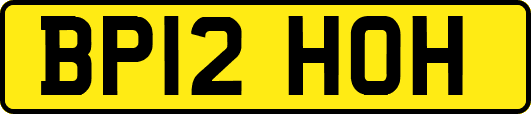 BP12HOH