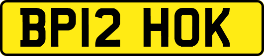 BP12HOK