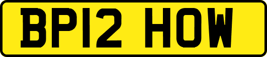 BP12HOW