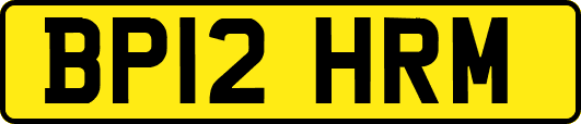 BP12HRM