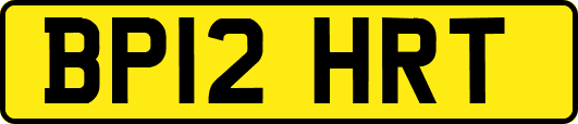BP12HRT