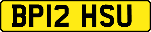 BP12HSU
