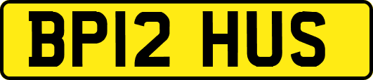 BP12HUS