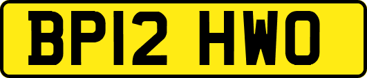 BP12HWO