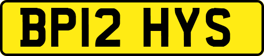 BP12HYS
