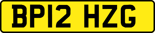 BP12HZG