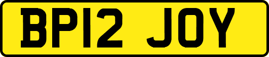 BP12JOY