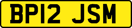 BP12JSM
