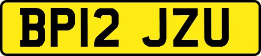 BP12JZU