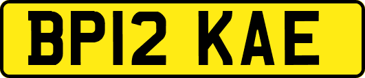 BP12KAE